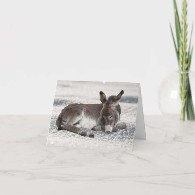 Cute Baby Donkey under julen i Snö Kort (Framsida)