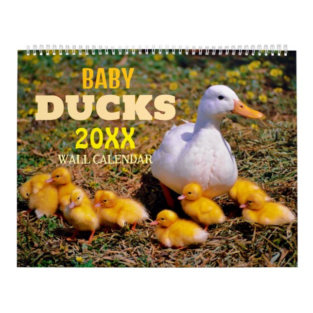 Cute Baby Ducks 2025 Wall Calendar Kalender (Omslag)