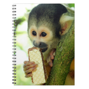 Cute Baby-ekorre Monkey Eting a Wafer Biscuit Anteckningsbok