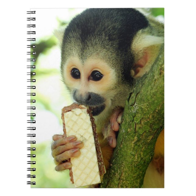 Cute Baby-ekorre Monkey Eting a Wafer Biscuit Anteckningsbok (Framsidan)