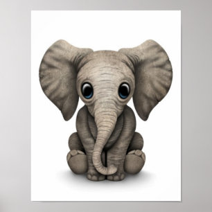 Cute Baby Elephant Calf Sitta Down, White Poster