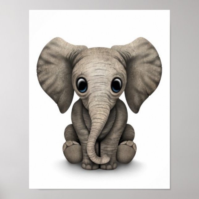Cute Baby Elephant Calf Sitta Down, White Poster (Framsidan)