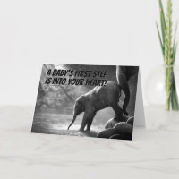Cute Baby Elephant First Steg in i hjärtat