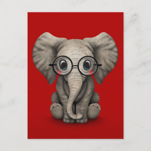 Cute Baby Elephant med rött läs- och glasögon Vykort