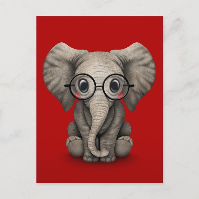 Cute Baby Elephant med rött läs- och glasögon Vykort (Framsida)