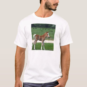 Cute Baby Foal Destiny ger Springtime Adsible T Shirt