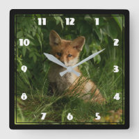 Cute Baby Fox i en Grönt Forest
