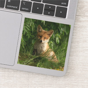 Cute Baby Fox i en Grönt Forest Klistermärken