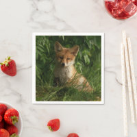 Cute Baby Fox i en Grönt Forest Photo