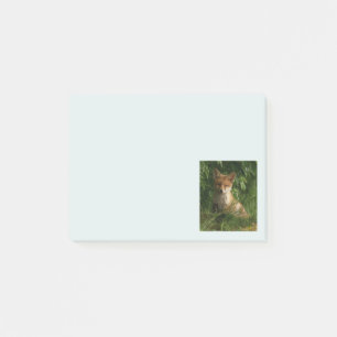 Cute Baby Fox i en Grönt Forest Post-it Block