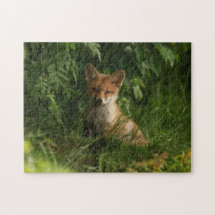 Cute Baby Fox i en Grönt Forest Pussel