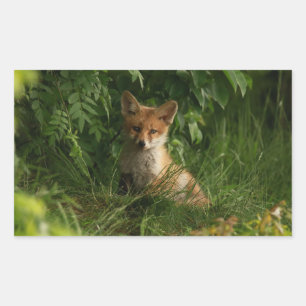 Cute Baby Fox i en Grönt Forest Rektangulärt Klistermärke