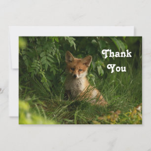 Cute Baby Fox i en Grönt Forest Tack Kort