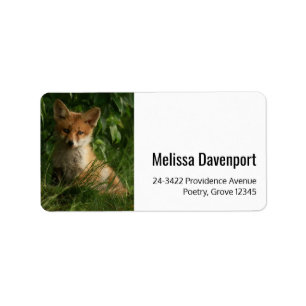 Cute Baby Fox i Grönt Forest Adress Adressetikett