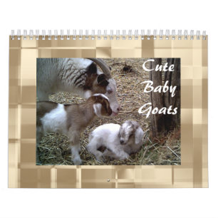 Cute Baby-getkalender Kalender