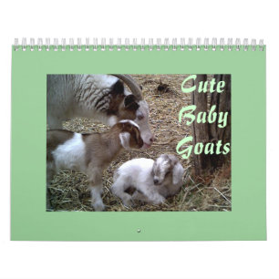 Cute Baby-getkalender Kalender