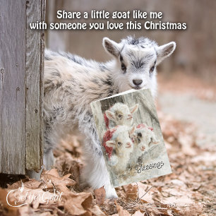 Cute Baby-getter - Snö Spädbarn 9 jul Helgkort