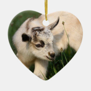 Cute Baby goat Julgransprydnad Keramik