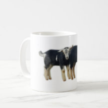 Cute Baby Goat Mugg