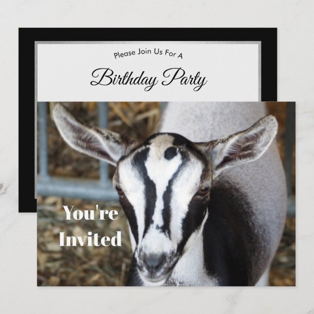 Cute Baby Goat Photo Birthday Inbjudningar (Fram/baksida)