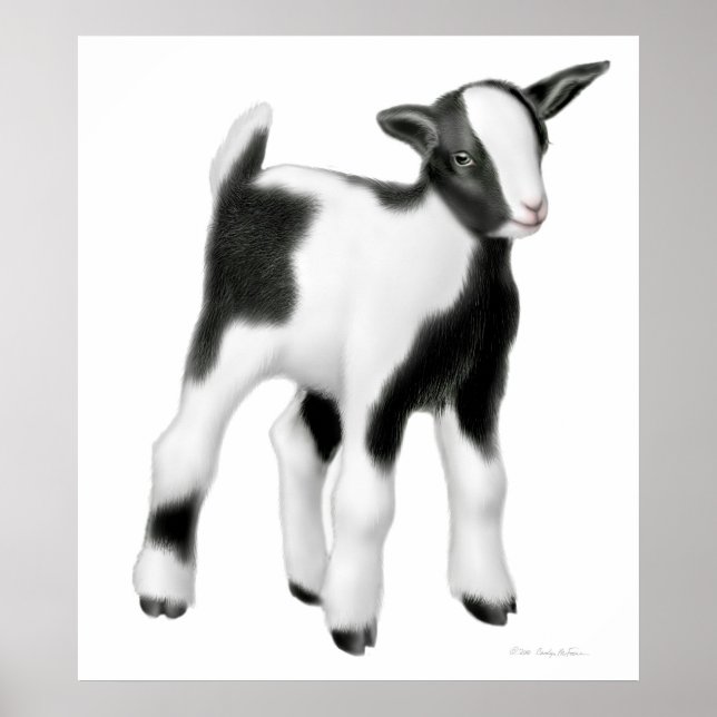 Cute Baby Goat Print Poster (Framsidan)