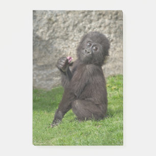 Cute Baby Gorilla Post-it Block