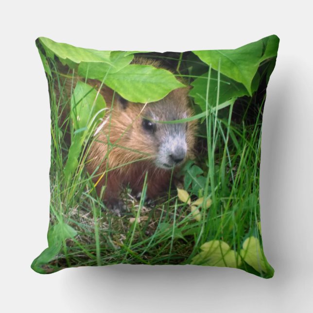 Cute Baby Groundhog Marmotte Murmeltier Kudde (Framsida)