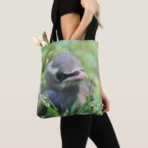Cute Baby Gult Cedar Waxwing Bird Tygkasse