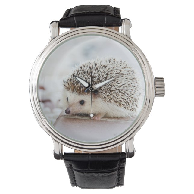 Cute Baby Hedgehog Animal Armbandsur (Framsida)
