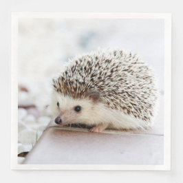 Cute Baby Hedgehog Animal Pappersservett