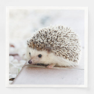 Cute Baby Hedgehog Animal Pappersservett