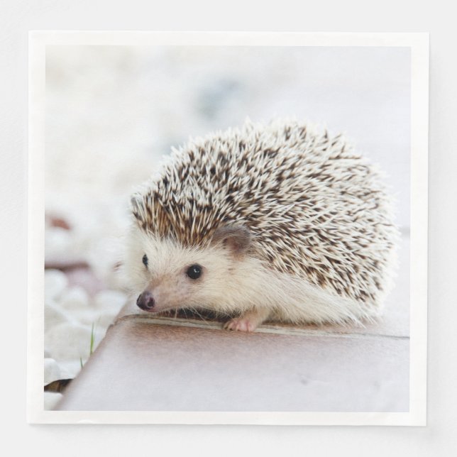 Cute Baby Hedgehog Animal Pappersservett (Framsida)