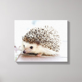 Cute Baby Hedgehog Canvastryck