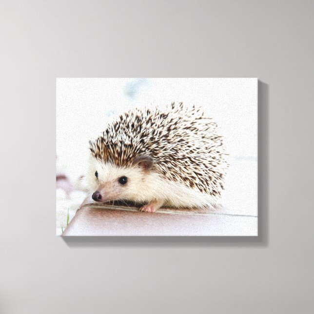 Cute Baby Hedgehog Canvastryck (Framsida)
