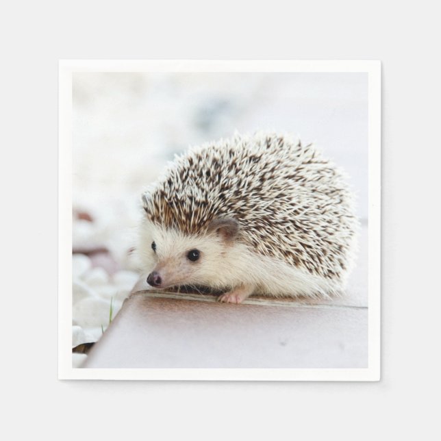 Cute Baby Hedgehog Pappersservett (Framsidan)