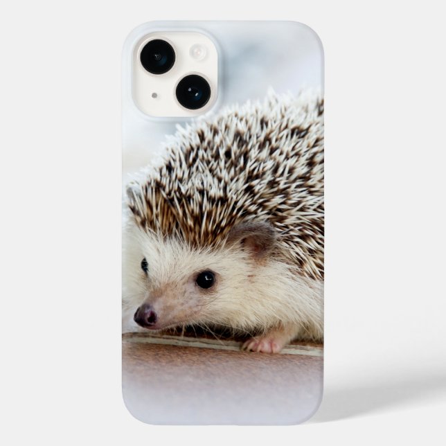 Cute Baby Hedgehog Photo (Baksida)