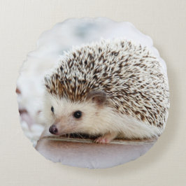 Cute Baby Hedgehog Rund Kudde