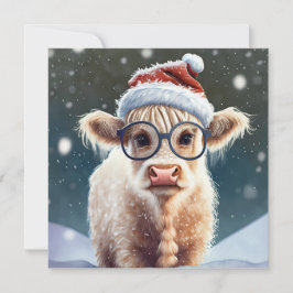 Cute baby Highland Cow i Snö