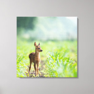Cute Baby Hjort Fawn in Grass Nature Photographic Canvastryck