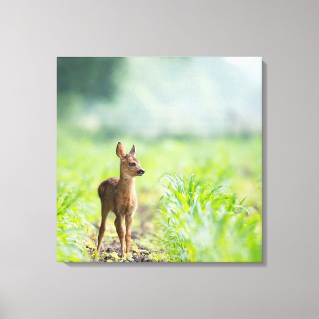 Cute Baby Hjort Fawn in Grass Nature Photographic Canvastryck (Framsida)