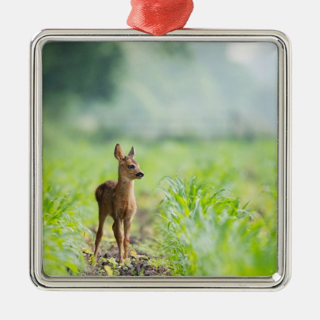 Cute Baby Hjort Fawn in Grass Nature Photographic Julgransprydnad Metall (Framsidan)