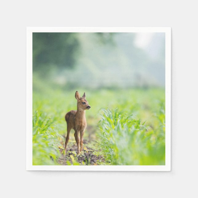Cute Baby Hjort Fawn in Grass Nature Photographic Pappersservett (Framsidan)
