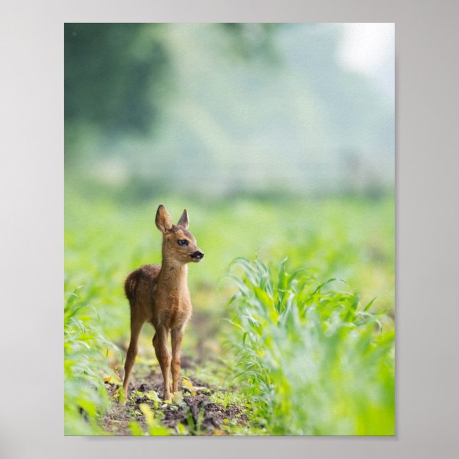 Cute Baby Hjort Fawn in Grass Nature Photographic Poster (Framsidan)