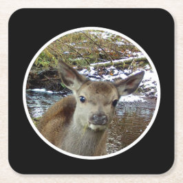 Cute Baby Hjort Posons för Pappra kameran Underläg Underlägg Papper Kvadrat