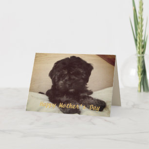 Cute Baby Hund Lycklig Mors dag Kort