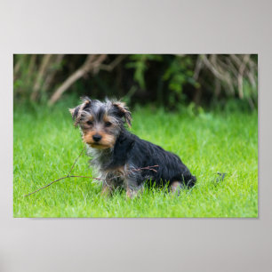 Cute baby-jumpen med ledsen öga-uttryck poster