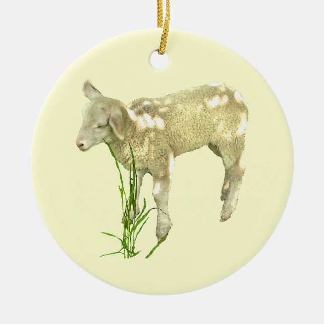 Cute Baby Lamb Eating Grass on Gult Ornament (Framsidan)