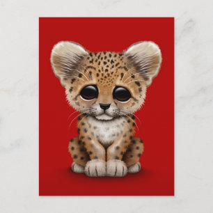 Cute Baby Leopard Unge på Red Vykort