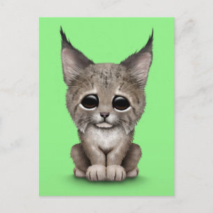 Cute Baby Lynx Unge på Grönt Vykort