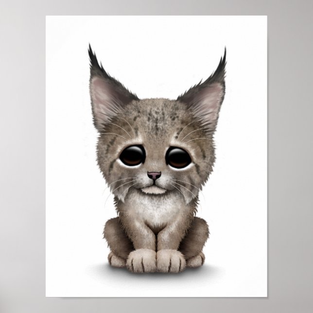 Cute Baby Lynx Unge på White Poster (Framsidan)